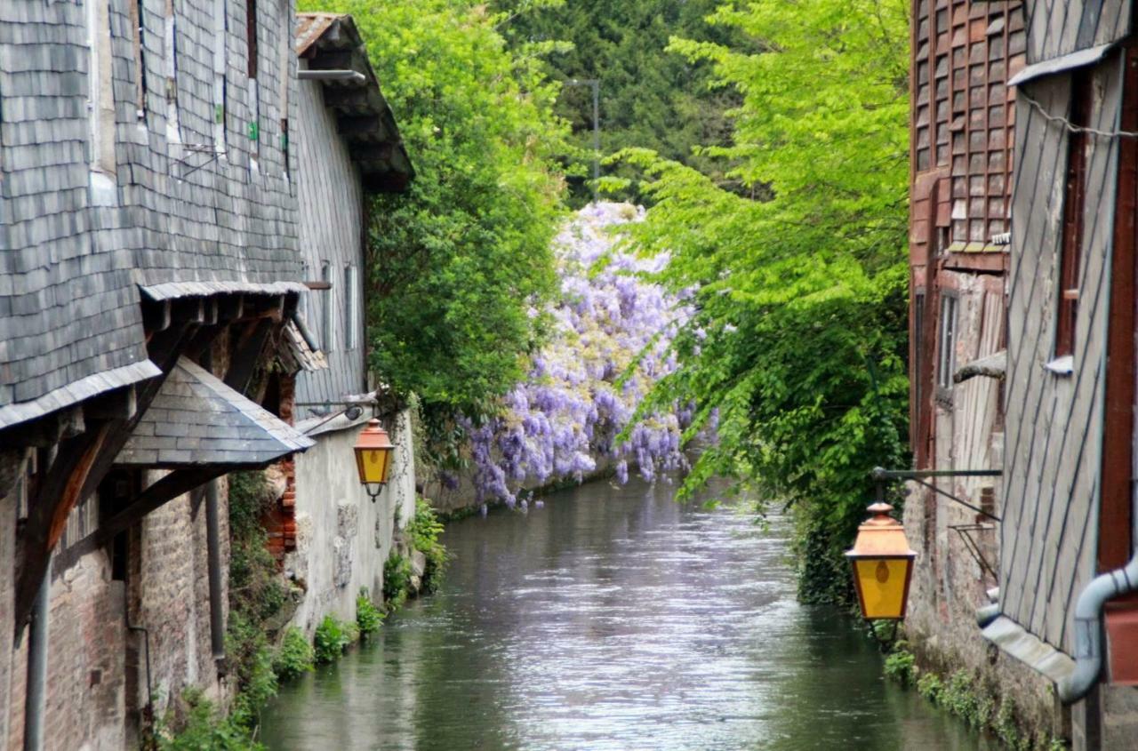 Le Clos Des Hortensias Toutainville エクステリア 写真